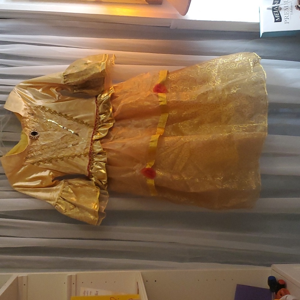 PRINCESS BELLE DRESS! - Picture 2 of 7